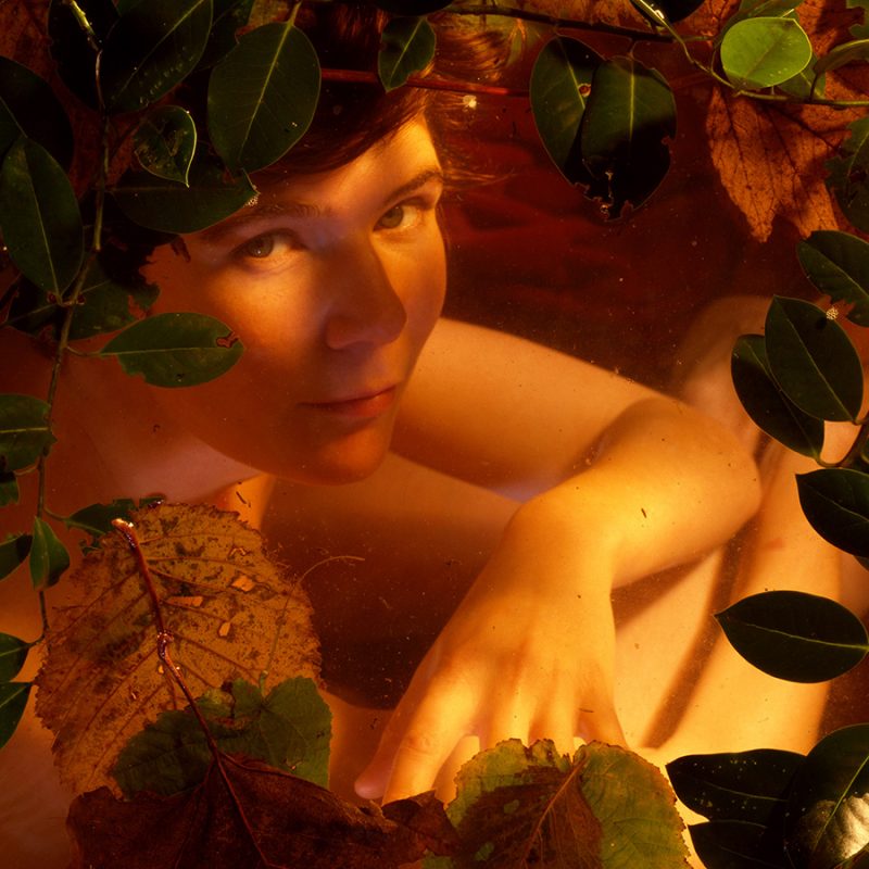 White woman, early 20s, under water with leaves on top. Shot from above.