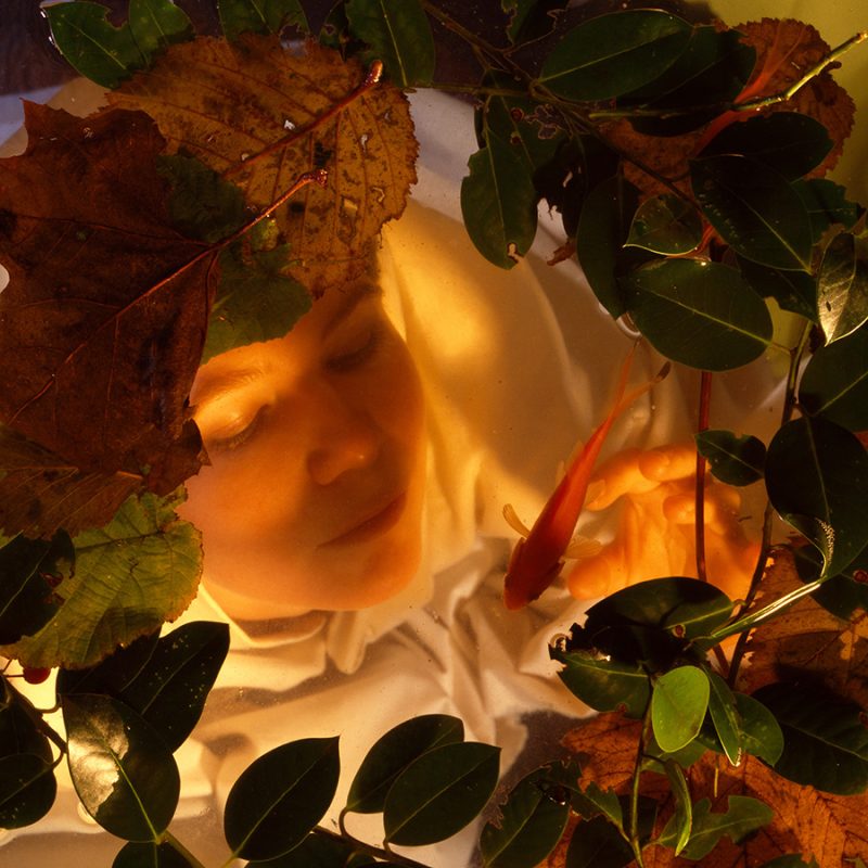 White woman, early 20s, cloaked in white, under water with leaves on top. Shot from above