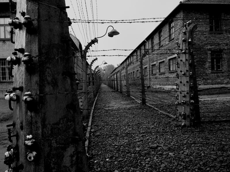 Black and white photo: Auschwitz with barbed wire fencing
